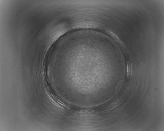 X0000081280627200701111333