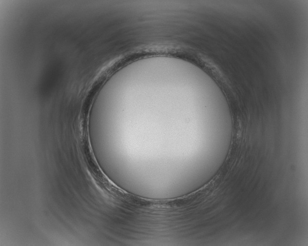 X0000081280636200701111333