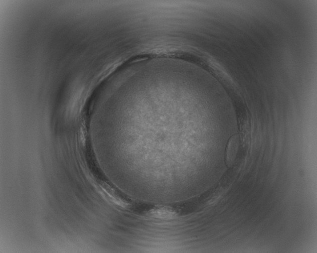 X0000081280644200701111333