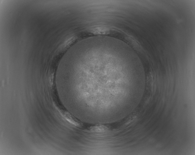 X0000081280652200701111333