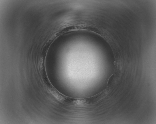 X0000081280660200701111334