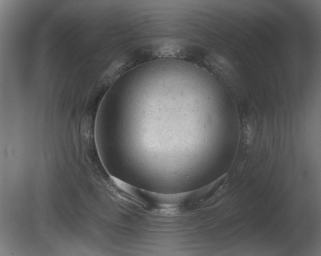X0000081280665200701111334