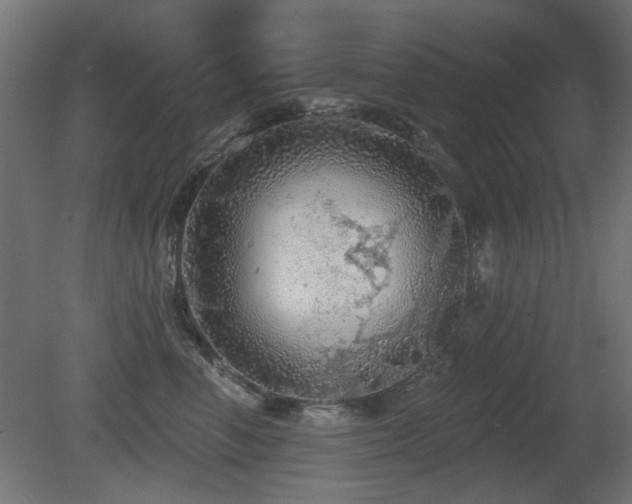 X0000081280666200701111334