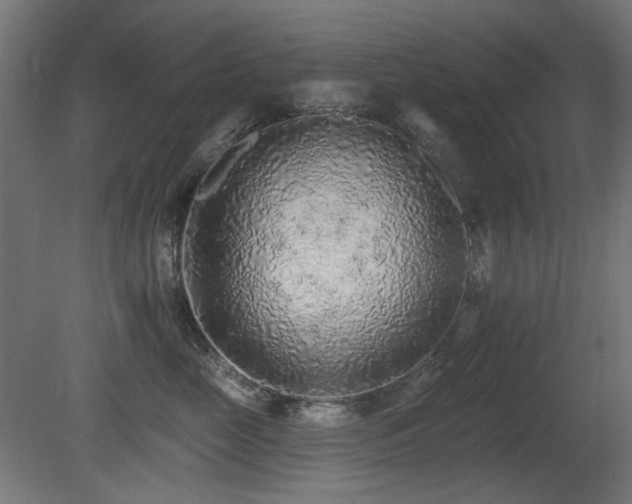 X0000081280669200701111334