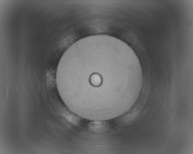 X0000081280672200701111334