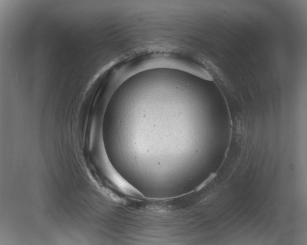 X0000081280684200701111333