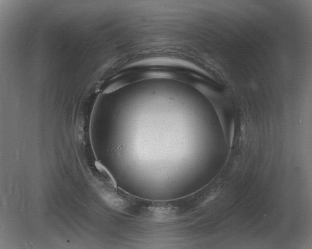 X0000081280693200701111333