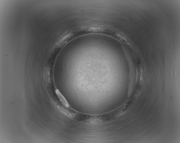 X0000081280696200701111333