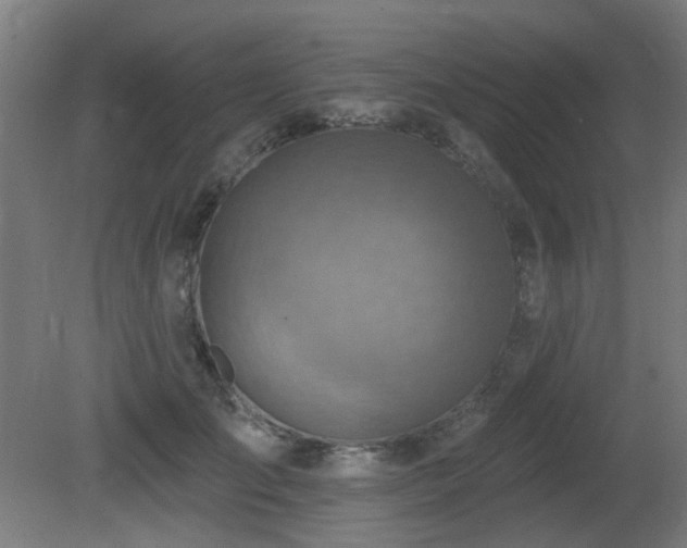 X0000081280701200701111332
