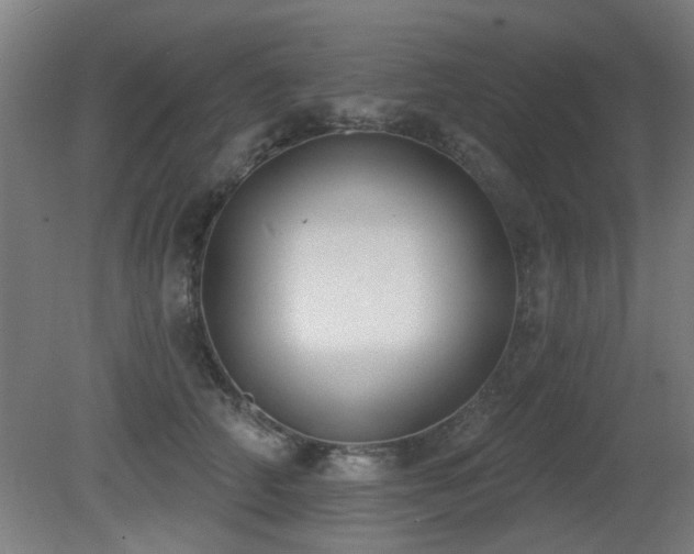 X0000081280706200701111332