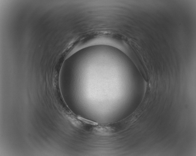 X0000081280712200701111332