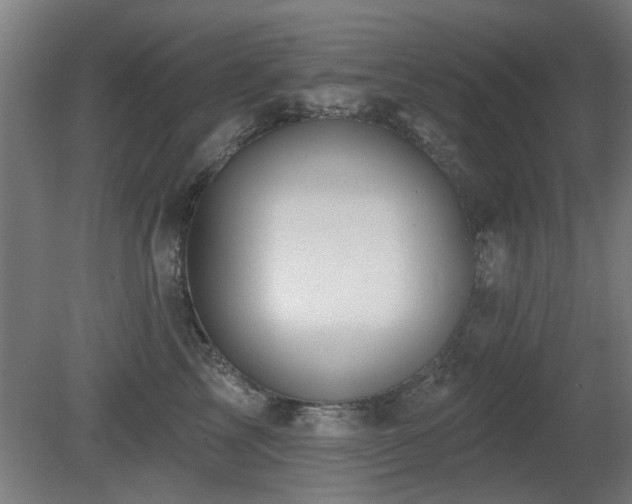 X0000081280713200701111332