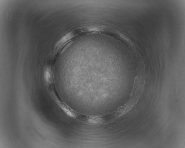 X0000081280720200701111332