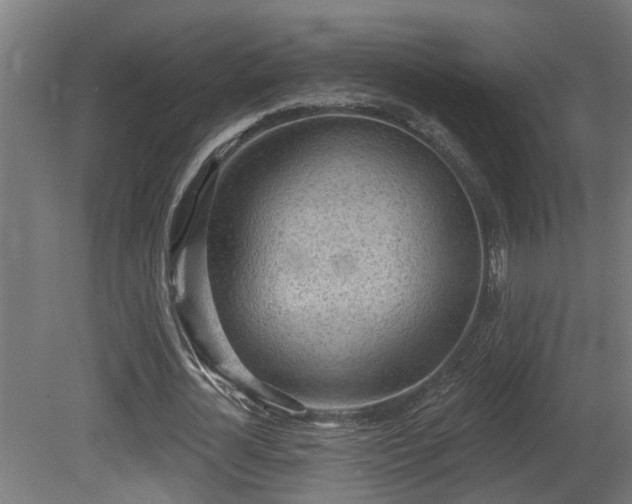 X0000081280724200701111331