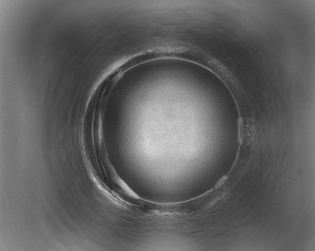 X0000081280726200701111331