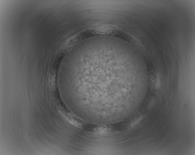 X0000081280745200701111332