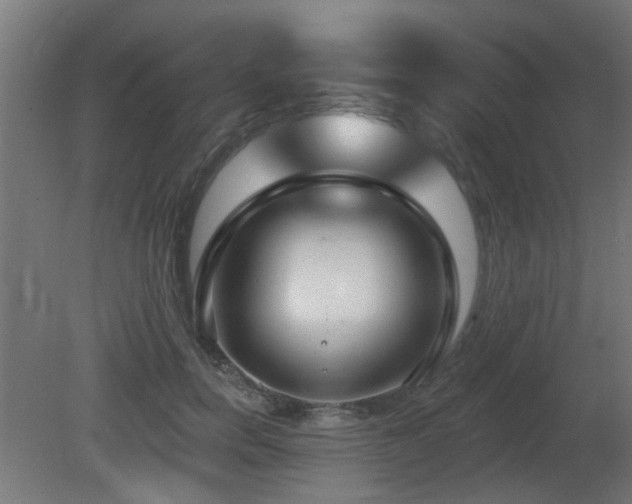 X0000081280750200701111332