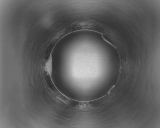 X0000081280752200701111332