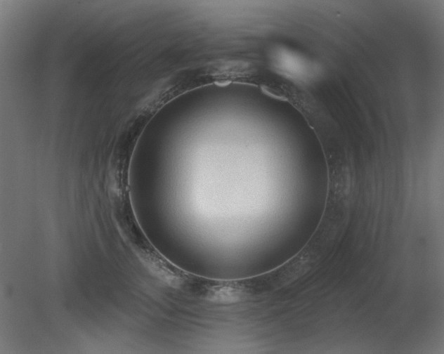X0000081280755200701111332