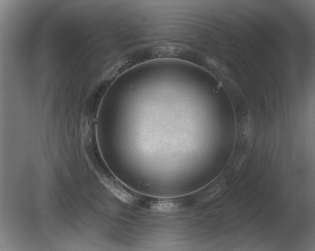 X0000081280759200701111332