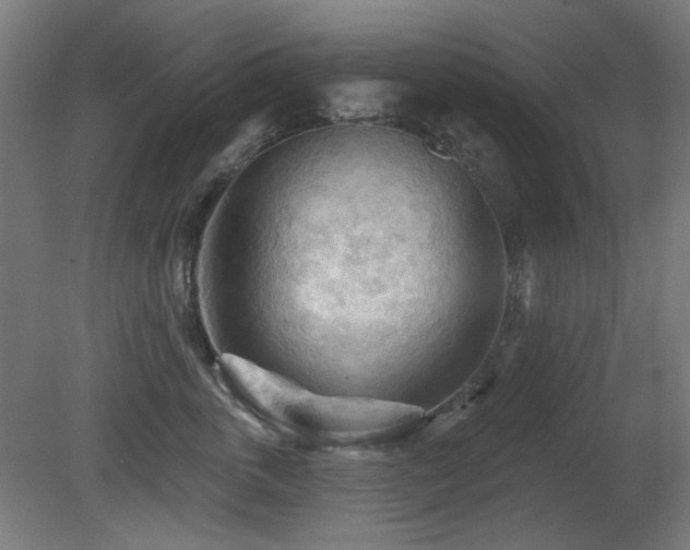 X0000081280763200701111332