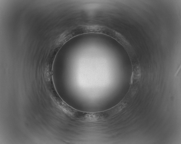 X0000081280764200701111332