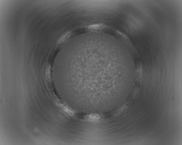 X0000081280765200701111332
