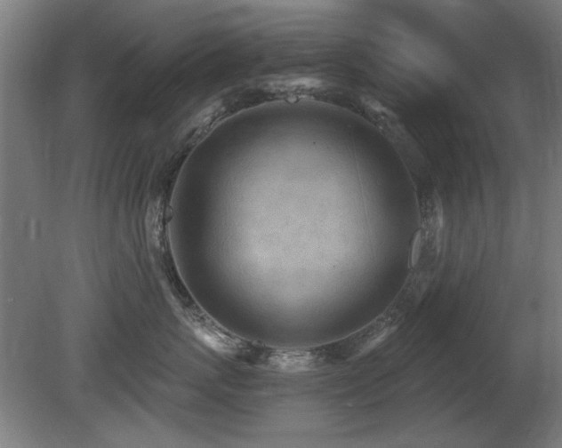 X0000081280767200701111332