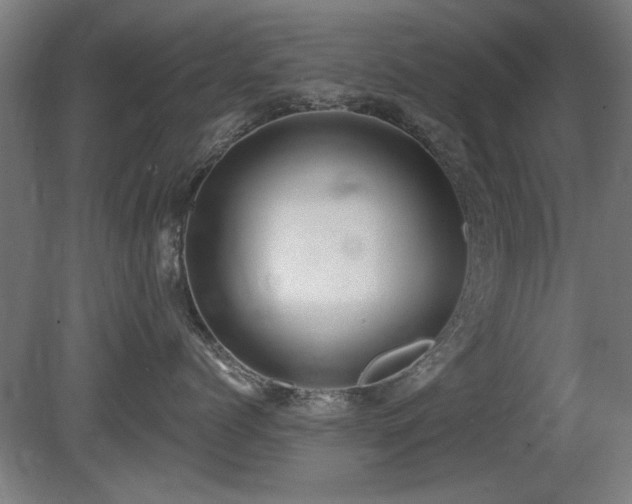 X0000081280768200701111332