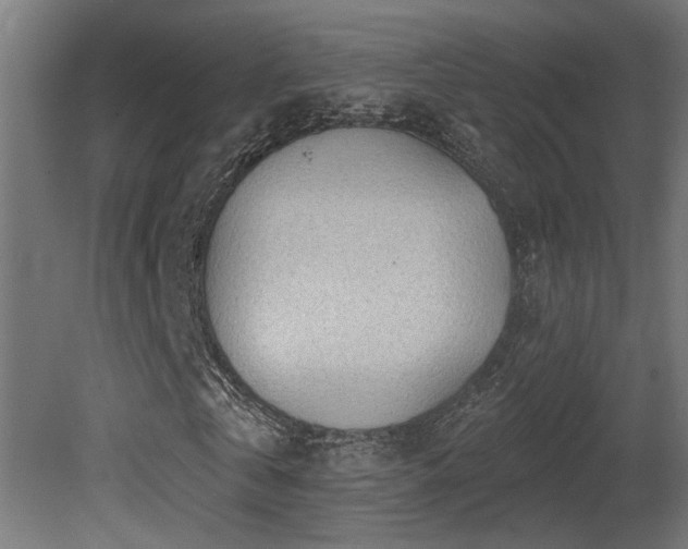 X0000081280769200701111331