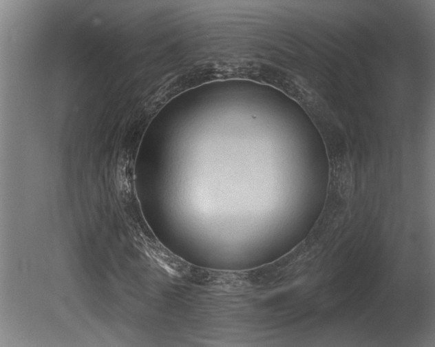 X0000081280770200701111331