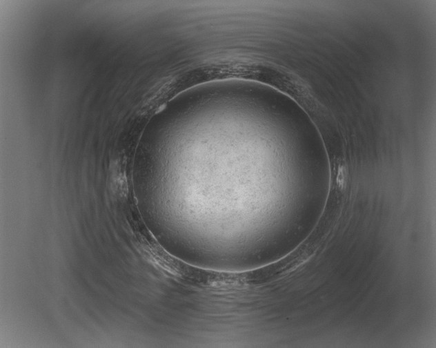 X0000081280771200701111331