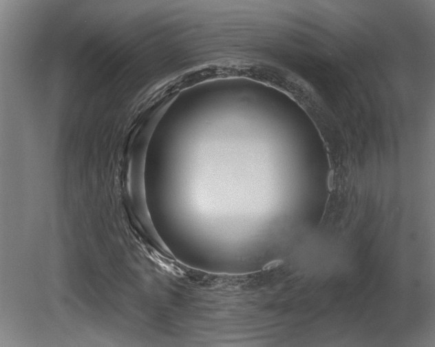 X0000081280773200701111331