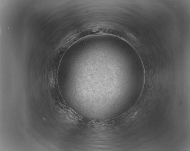 X0000081280774200701111331