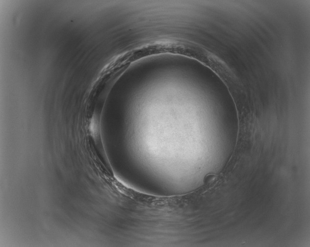 X0000081280776200701111331