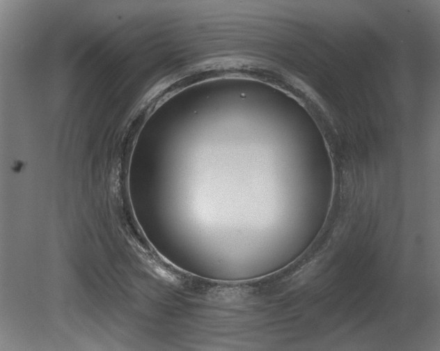 X0000081280778200701111331