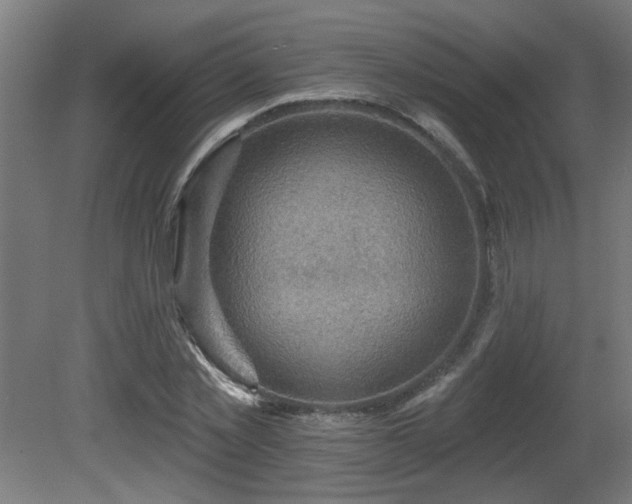 X0000081280781200701111331