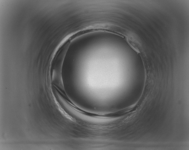 X0000081280792200701111331