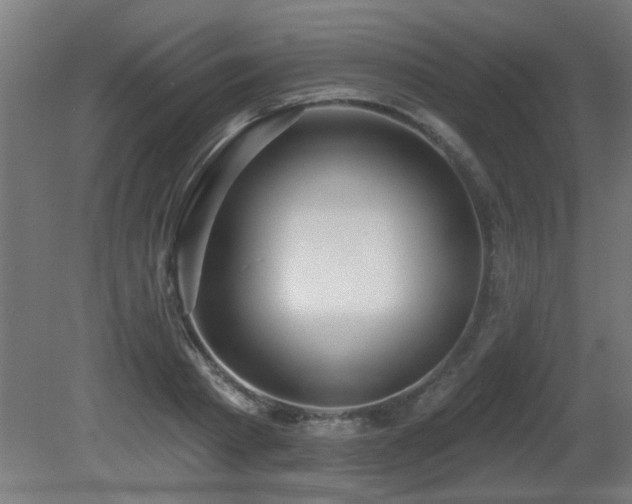 X0000081280793200701111331