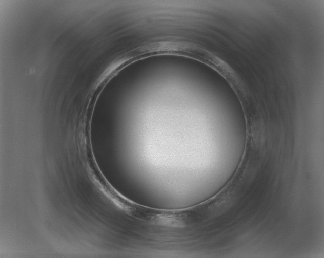 X0000081280794200701111331