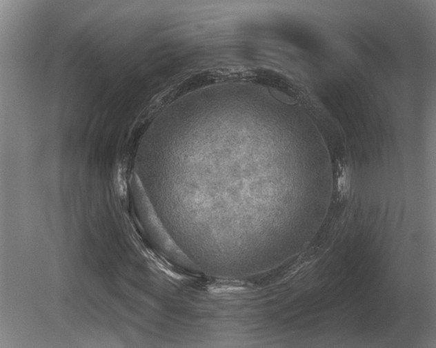 X0000081280819200701111330