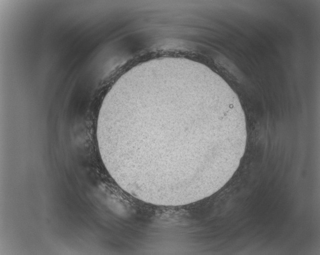 X0000081280824200701111330