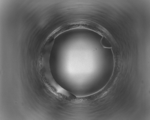 X0000081280826200701111330