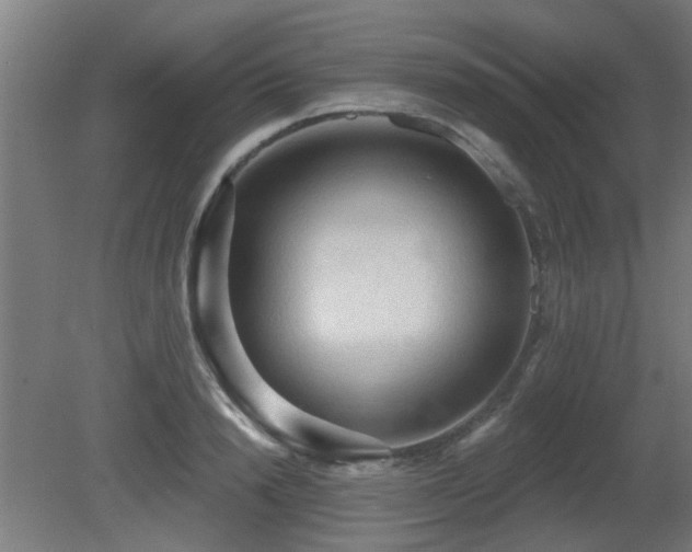 X0000081280846200701111330