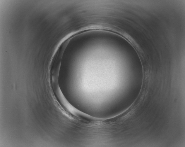 X0000081280854200701111330