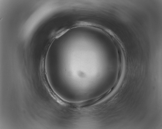 X0000081280862200701111330