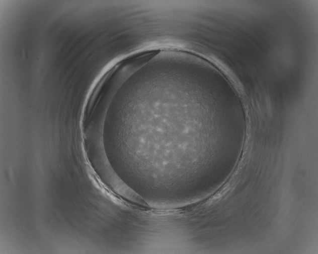 X0000081280864200701111331