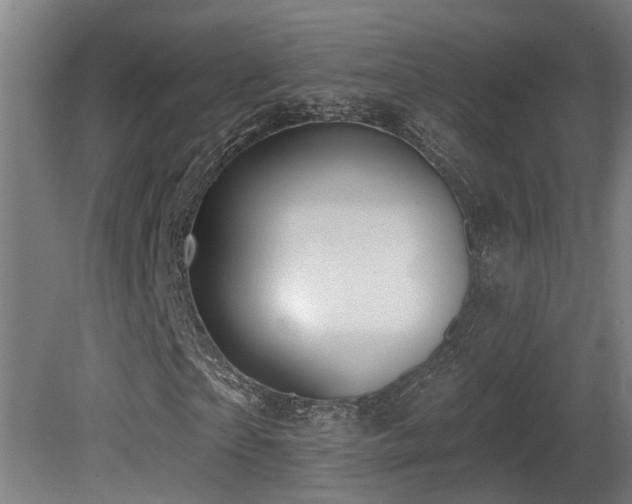 X0000081280865200701111330