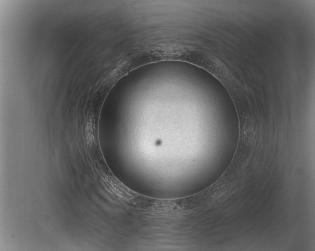 X0000081280866200701111330