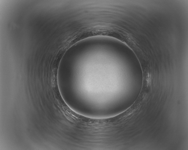 X0000081280868200701111330